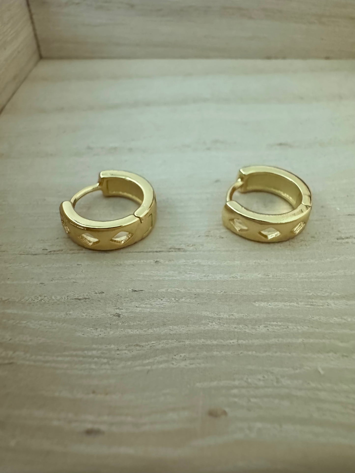 Return to Sender (Earrings)